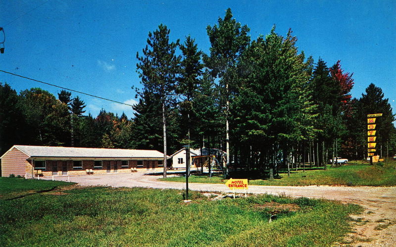 Norway Pines - Vintage Postcard (newer photo)